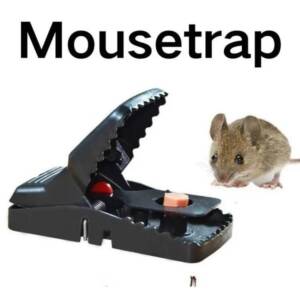 Plastic Mouse trap