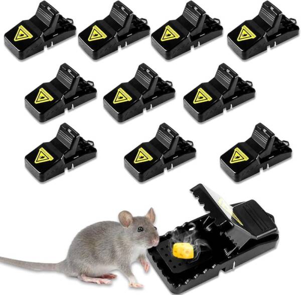 Plastic Mouse trap - Image 2