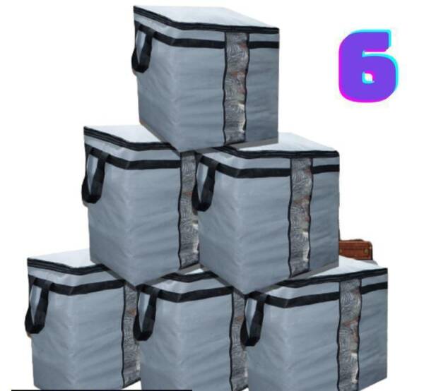 Dustproof Storage Bags, Pack Of 6